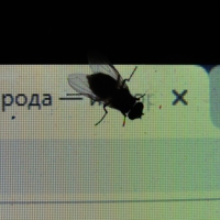 Поближе к Природе)