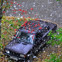 Снегопад в сентябре...