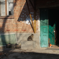 Кошка и дверь
