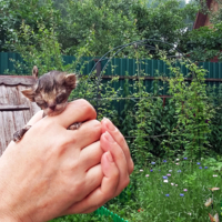 Первый день в этом мире