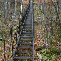 Начало трудного подъёма