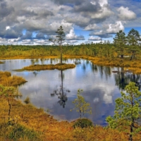 Национальный парк Эстонии "Болота Виру"