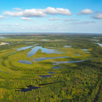 Непроходимые болота