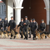 Вперёд, на наш праздник!