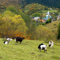 От рассвета до заката