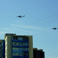 Железные птицы в городе