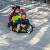 Веселые каникулы...