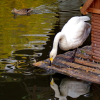 Я прекрасен!