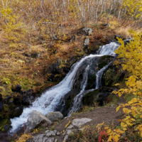 Водопад и листопад