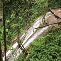 Лесной водопад