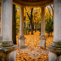 Осенняя прогулка