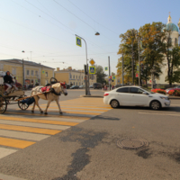 Вдоль да по улице!