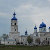 Парковочные места у изгороди