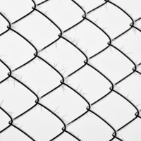 Снежные колючки