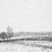 Заметает.....