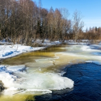 Вешние воды