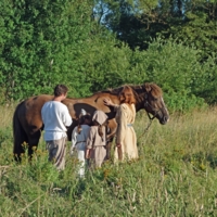 Любовь к лошадям начинается с детства