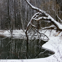 Зимняя вода