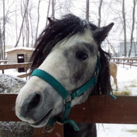 Мечтательница