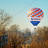 Из городских джунглей