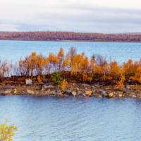 Островок осени