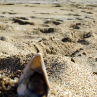песок и море