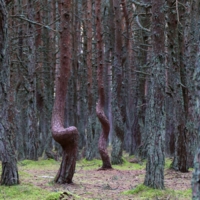 Платоническая любовь