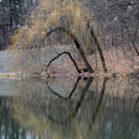 Плачущие друг над другом...