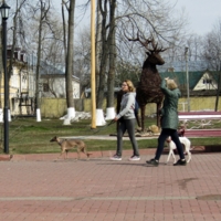 Барышни с собачками и без...