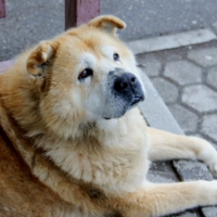 Жизненный опыт