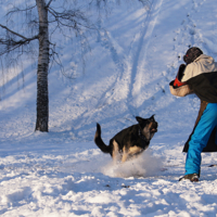 Вижу цель