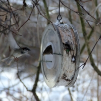 Кто в домике живет?