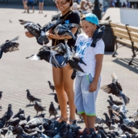 Счастье на ладонях