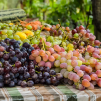 Щедрая дача