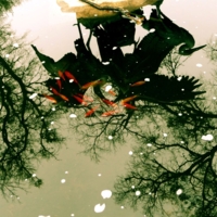 В осеннем парке