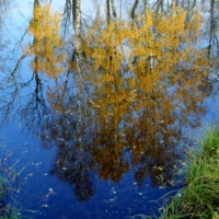 Осеннее отражение