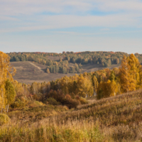 Перелесками осень блуждала