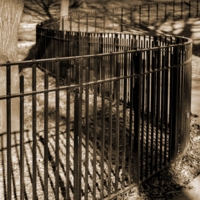 Осенние тени