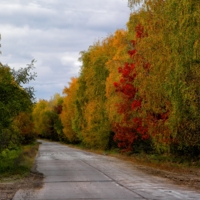 Дорога в осень