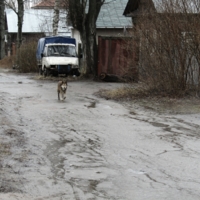 Между вчера и завтра