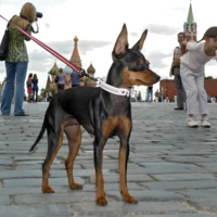 На Красной площади