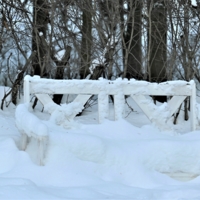 Парковая скамейка во власти снега.