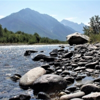 Камни в воде.