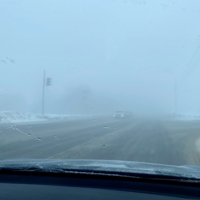 И куда ж она ведёт…