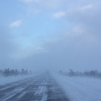 Однажды северной зимой …
