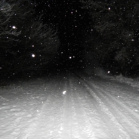 Ночь. Дорога. Снегопад