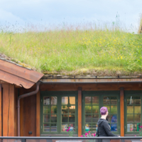 Кайфуем в цвет