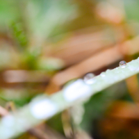 И один в поле воин