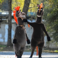 ЖеРебячьи шалости