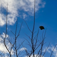 Осень … октябрь…